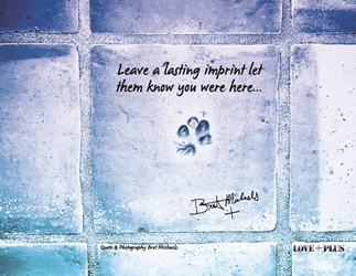 Leave an Imprint Postcard (Blue Tone) 